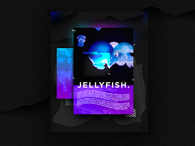 Poster Jellyfish | 0A-Z1 Studio 🌊