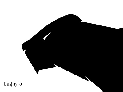 Baghyra app branding icon illustration logo site typography ux vector web