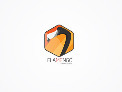 Flamengo logo bird concept logo