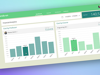 Financial Analytics bar chart dashboard educational user interface ux web