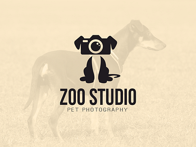 Zoo Studio animal animals camera dog illustration pet photo photograph photography studio zoo zoo studio