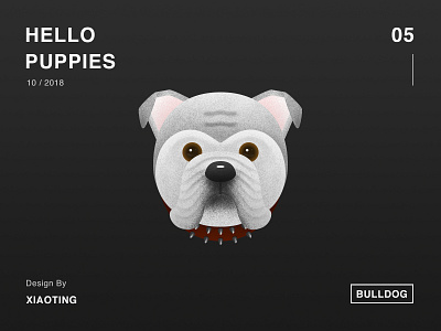 Hello Puppies_05 dog illustration design