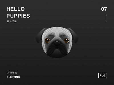 Hello Puppies_07 dog illustration design