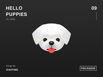 Hello Puppies_09 dog illustration design