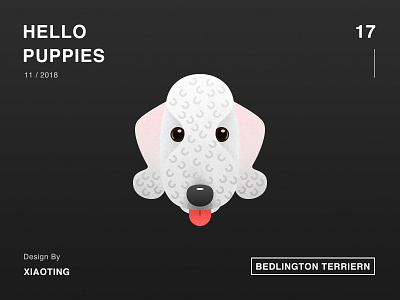 Hello Puppies_17 dog illustration design