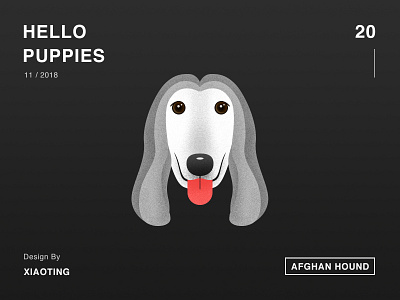 Hello Puppies_20 dog illustration design