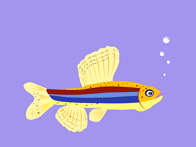 my fish fish icon