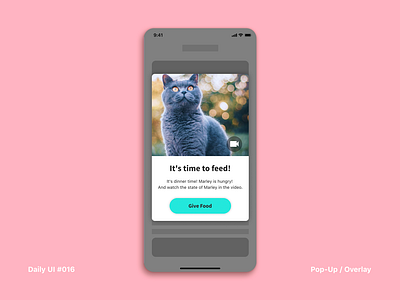 Daily UI #016 Pop-Up / Overlay app cat dailyui dailyui016 interface pet pet app pet care ui