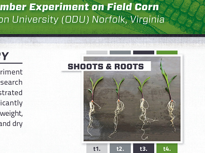 Treated vs. Untreated Growth Study