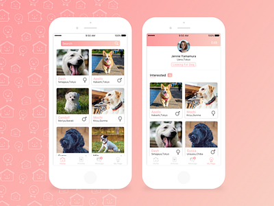 Dog Adoption app dog ui