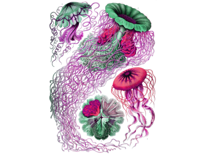 Techno Jellyfish 2.0 jellyfish lithograph party techno