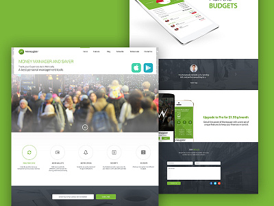 Website Templates Design design money manager ui website design