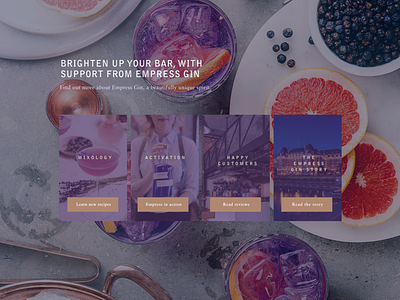 Empress Gin Web Progressive App and website branding design icon identity typography ux website