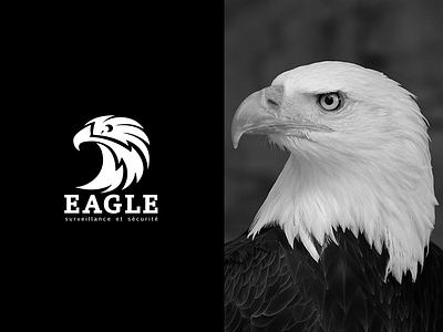 Animal logo Eagle