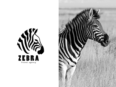 Animal logo Zebra