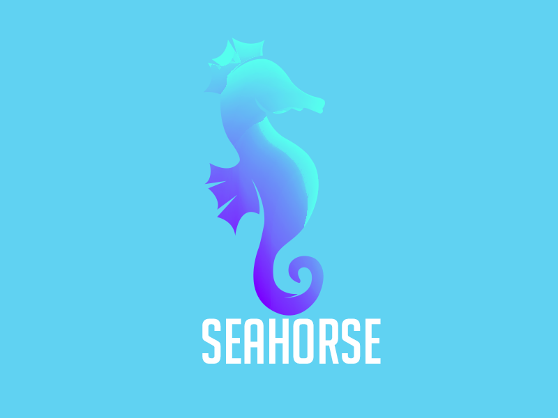 Animal logo Seahorse stationery color logo gradient logo2018 animal mark agency vector construction colorful visual typography monogram illustration stationary identity design brand branding