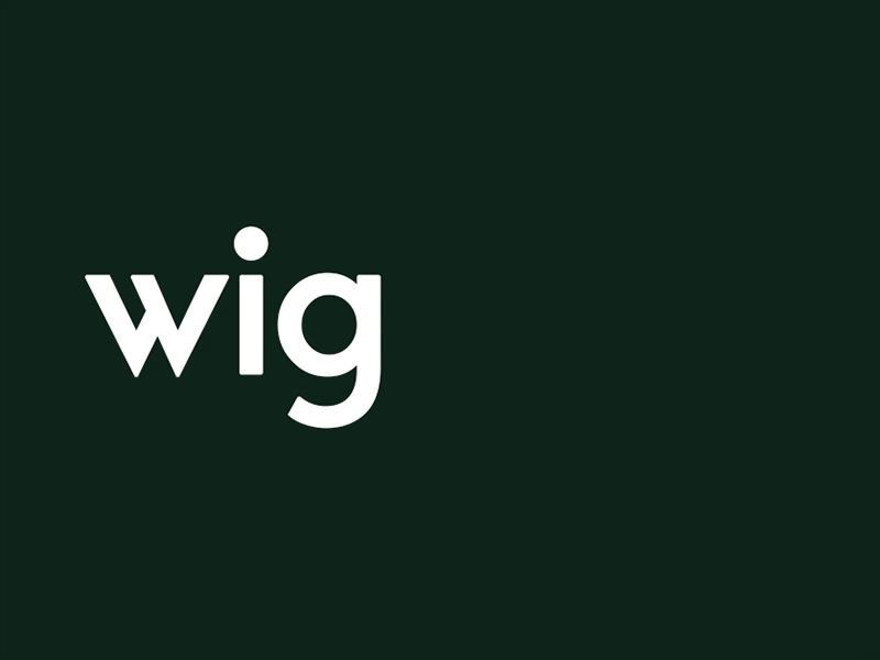 wigwag identity by Cherepukhin on Dribbble