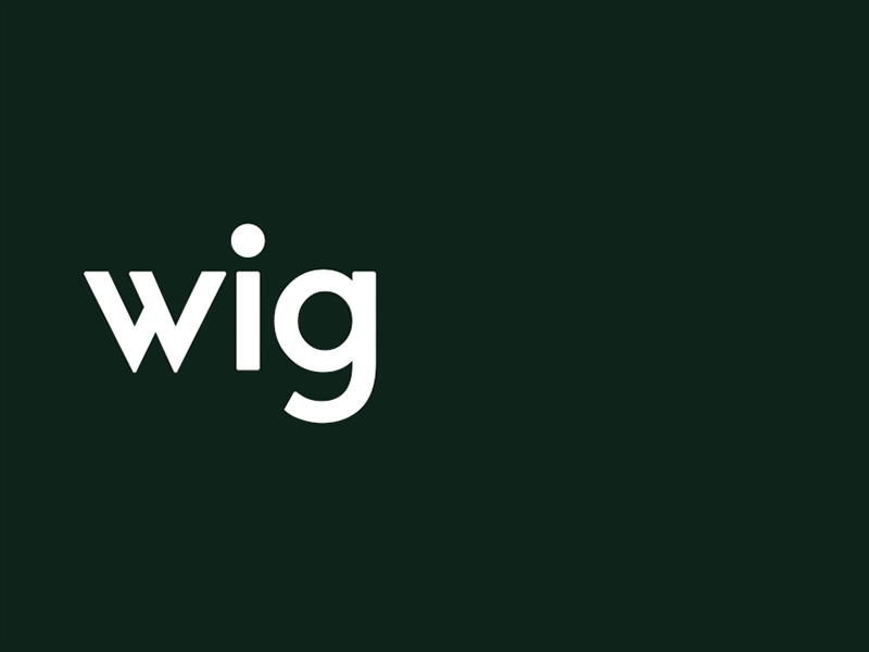 wig:wag identity brand dynamic idenity media naming publishing
