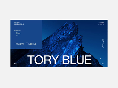 CC_Tory Blue animation colors combination education fashion grid interaction minimalism photo typography ui ux