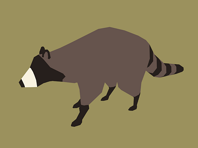 Raccoon low lowpoly poly raccoon