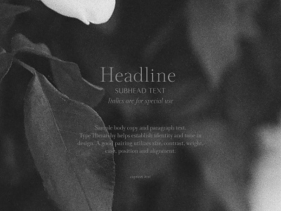 Type Hierarchy Sample body text copy film photography font font design font pairing italic lettering serif headline subhead type hierarchy type pairing type resource typography