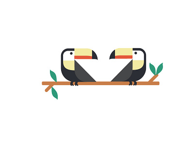 toucans design flat illustration toucan