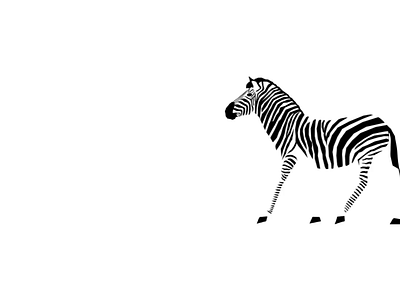 Stripey mess animation branding motion design motion graphics