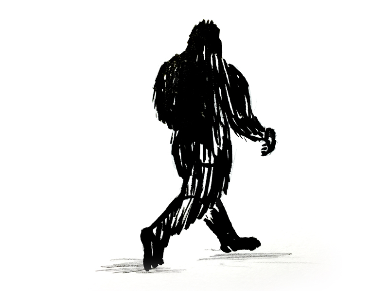 Sasquatch is Real by Ryon Edwards on Dribbble