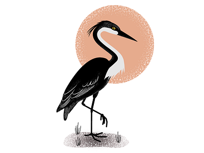 Heron bird flat illustration heron illustration illustrator spotillustration