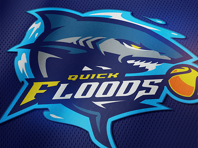 QUICK FLOODS (Mockup)