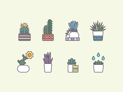 Succulent Icon design flat icon illustration