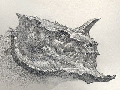 Gregory dragon drawing pencil sketch