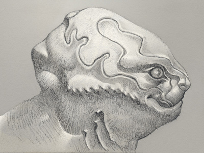 Catblobfishthing alien ceature drawing monster pencil sketch