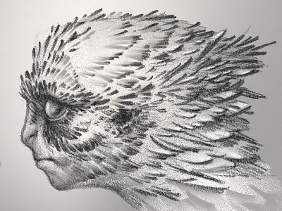 Noel creature drawing harpy pencil sketch