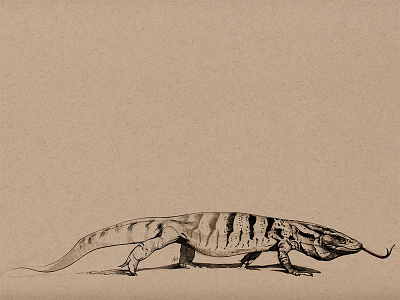 Another monitor drawing illustration lizard marker marker pen monitor sketch