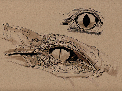 Crocodile eyes crocodile eye illustration marker sketch pen and ink