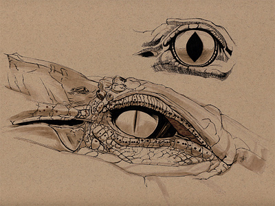 Crocodile eyes