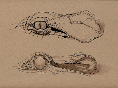 Crocodile ears crocodile drawing ear illustration marker sketch pen and ink