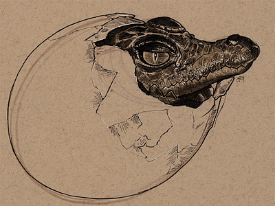 Crocodile hatching animal art crocodile drawing hatching illustration pen and ink sketch