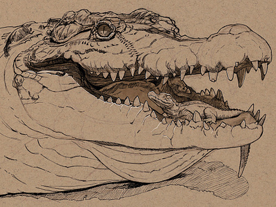 Big Momma crocodile drawing ilustration mother pen and ink