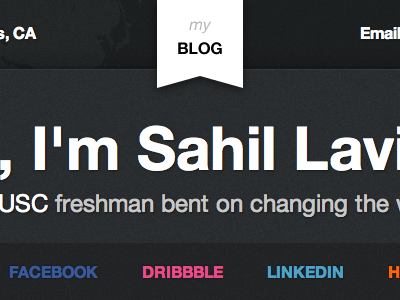 my BLOG banner blog freshman lavingia ribbon sahil usc