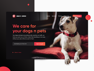 Dog Care UI UX Design