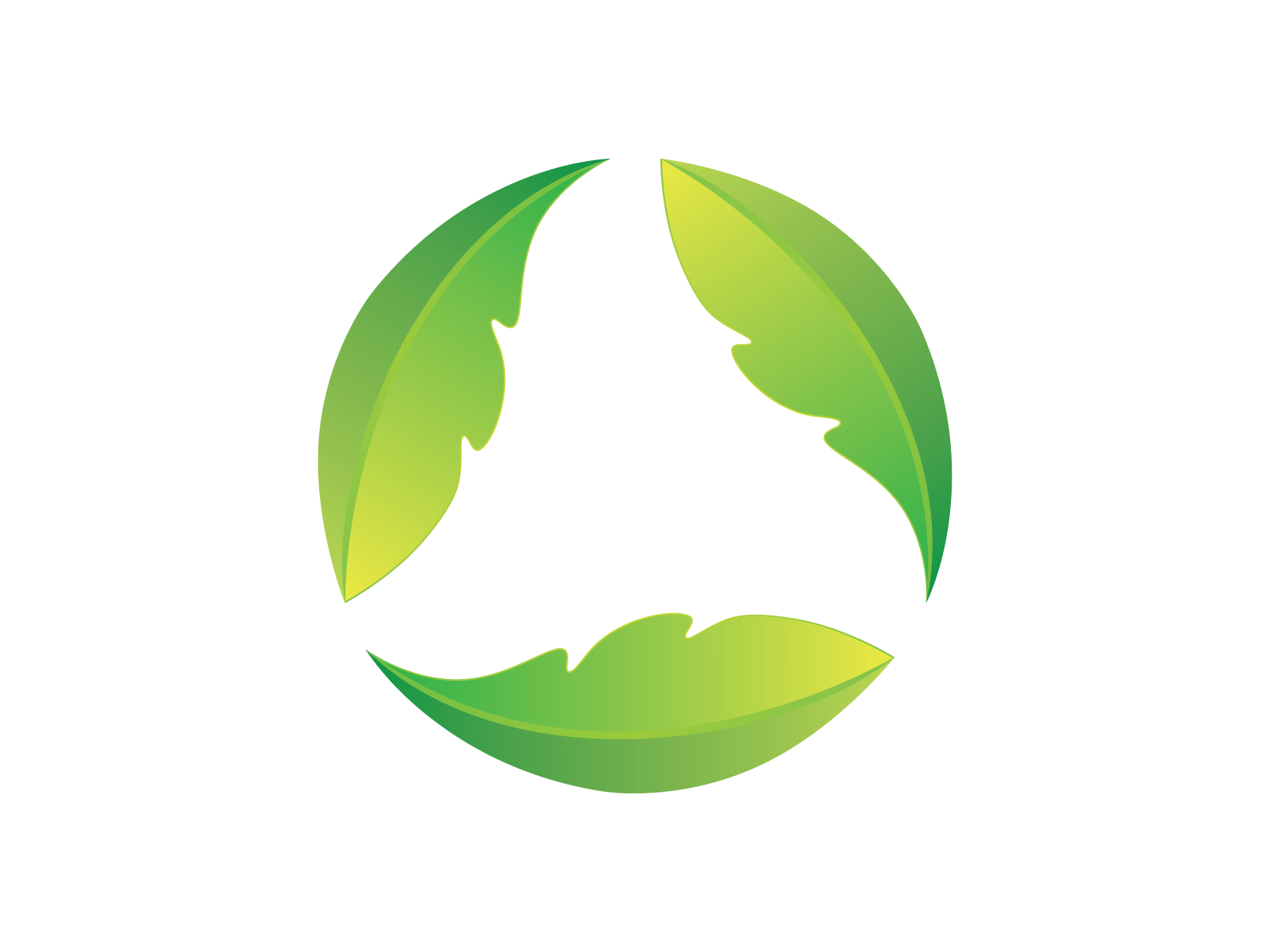 green leaf logo design