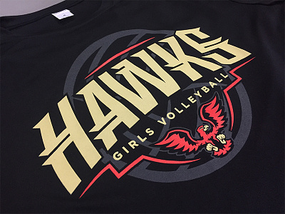 Holmes Girls Volleyball Print mascot print screenprint sports type