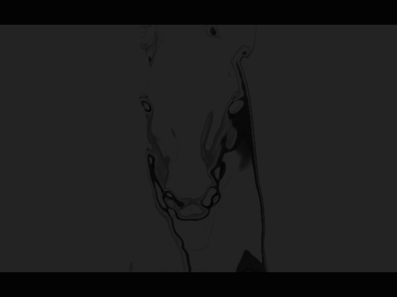 Horse Doodle after effect sketch user experience