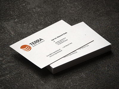 TERRA Geodesy & Cartography brand identity branding business cards logo logotype