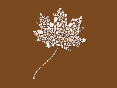 Leaf autumn fall icon illustration leaf vector