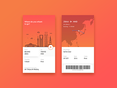 Plane ticket