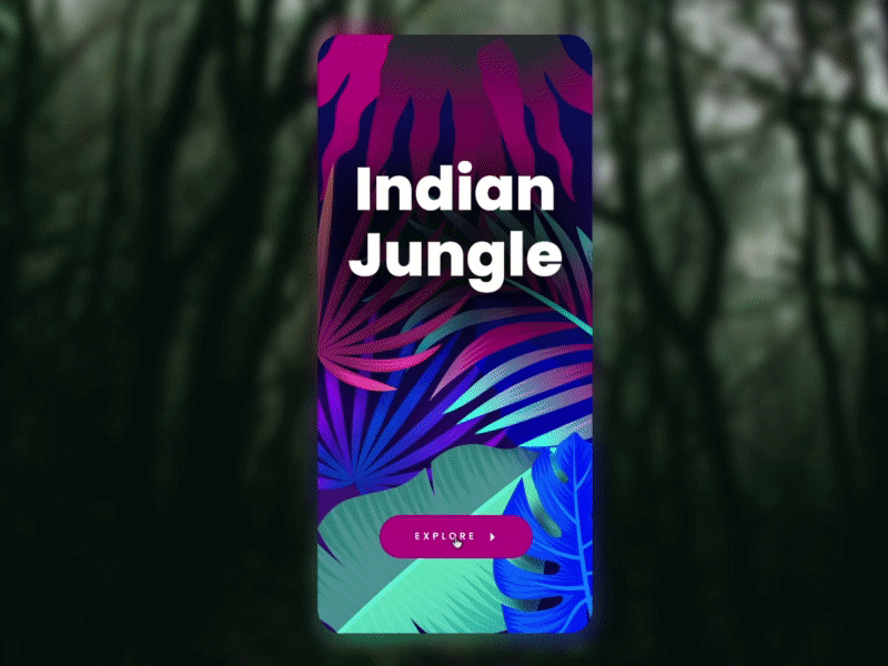 Indian Jungle - Mobile app adobe photoshop adobe xd after effects animal animation branding clean design floral design forest gradient interaction design jungle mobile app motion graphics ui user interface visual design