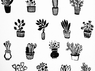 Plants illustration black flowers illustration leaves minimal minimalism minimalist design plants